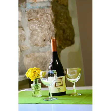 Dolores Old Town Apartment Moscenicka Draga